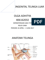 Kelainan Kongenital Telinga