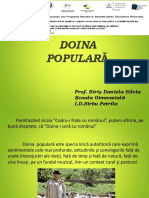 0_doina_ppt.ppt