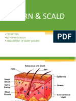 Burn & Scald: Pathophysiology Assessment of Burn Wound