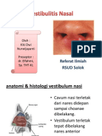 Vestibulitis Nasal