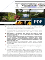 Hongos de Bogota (Humedal La Conejera) Informe #1-2016