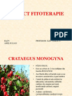 PROIECT FITOTERAPIE.ppt