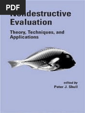Nondestructive Evaluation Theory Techniques And - 