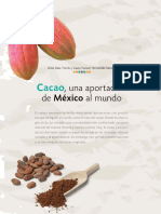 Cacao, una aportación de México al mundo