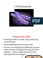 Chromosome PPT 3.2