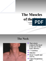 The Muscles of The Neck