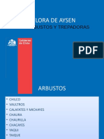 Flora de Aysen - Arbustos y Trepadoras