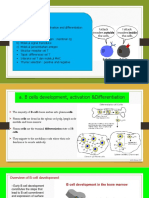 Signal Transduction n b n t Lymphocyte