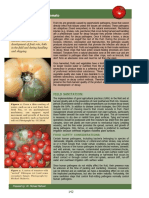 Postharvest Disease of Tomato