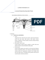 LP Abortus Kompletus