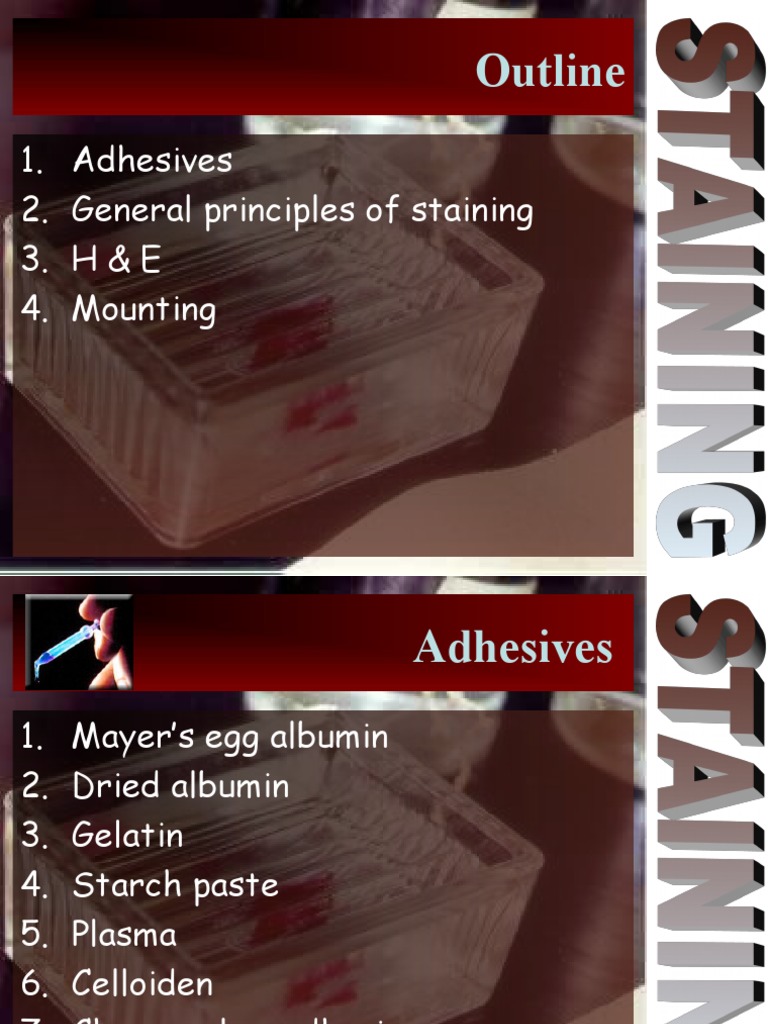 Adhesives Staining Mounting Pdf