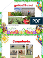 Cultivos, crías, minería y turismo en La Guajira