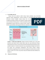 Biologi Keratinosit