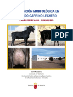 1222 Texto Completo 1 Valoracion Morfologica en Ganado Caprino Lechero Cabra Murciano Granadina PDF