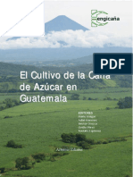 Dialnet-ElCultivoDeLaCanaDeAzucarEnGuatemala-572719.pdf
