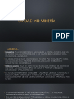 Unidad Viii Minero