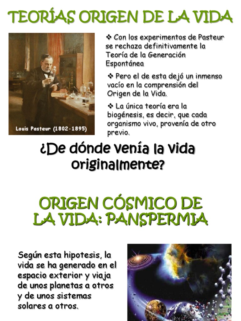 Teorías sobre el Origen de la Vida | PDF | Abiogénesis | Naturaleza