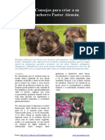 consejos-para-criar-a-su-cachorro-pastor-aleman.pdf