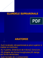 8. Glandele Suprarenale , Hiperplazia Adrenala