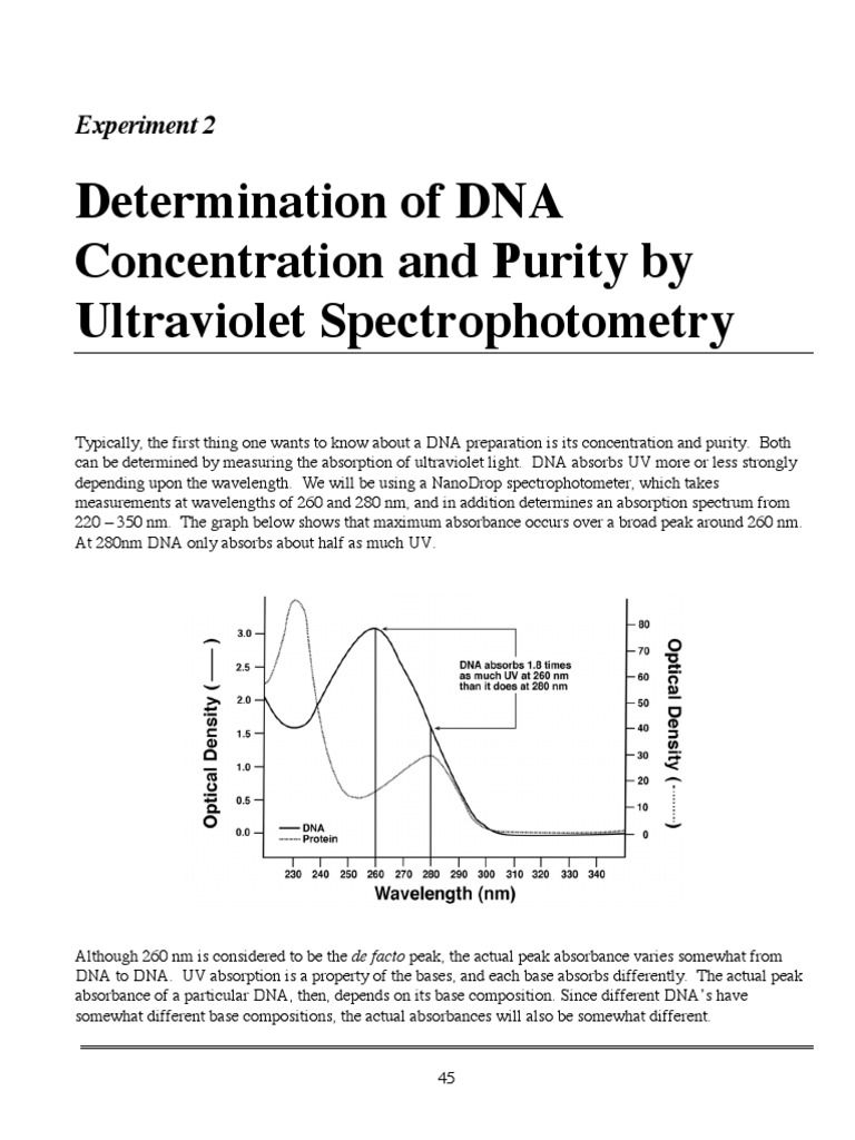 09 UV Absorption.pdf Structural Biology Nucleic Acids