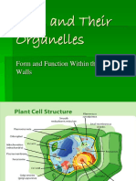 Cells and Their Organelles: Form and Function Within The Cell Walls