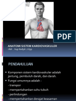 Asb. Anatomi Kardiovaskuler