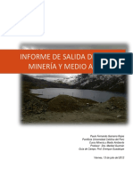 informesalidadecampo-medioambiente-final-121018210550-phpapp02.pdf