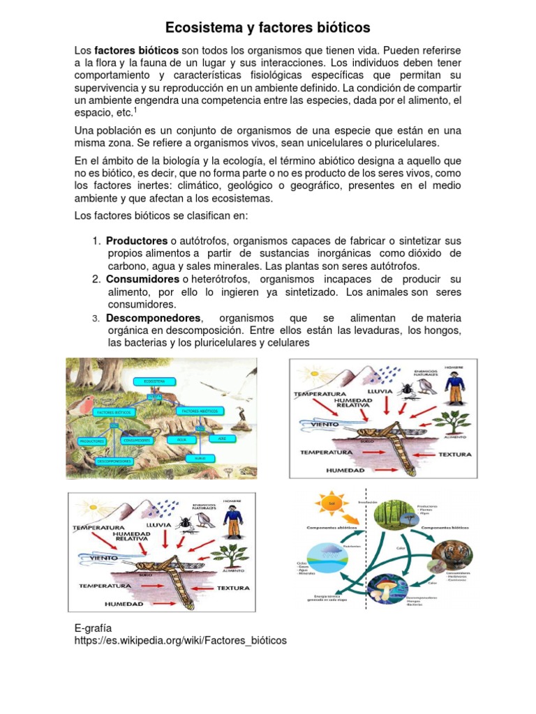 Ecosistema y Factores Bióticos | PDF | Organismos | Ecosistema