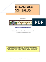 ADELGACEMOS.pdf