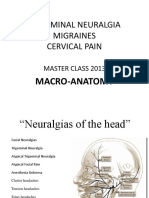 Trigeminal Neuralgia Migraines Cervical Pain: Master Class 2013