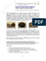 Buscadores de Meteoritos PDF