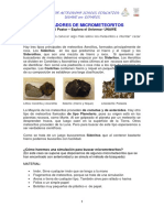 BUSCADORES DE METEORITOS.pdf