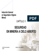 CM001 CAP11.-MINERA A CIELO ABIERTO.pdf
