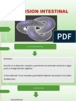 Oclusion Intestinal