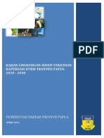 KLHS RTRW Papua PDF