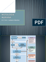 HISTOLOGÍA HUMANA.pptx