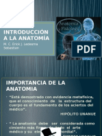 Introducción A La Anatomía