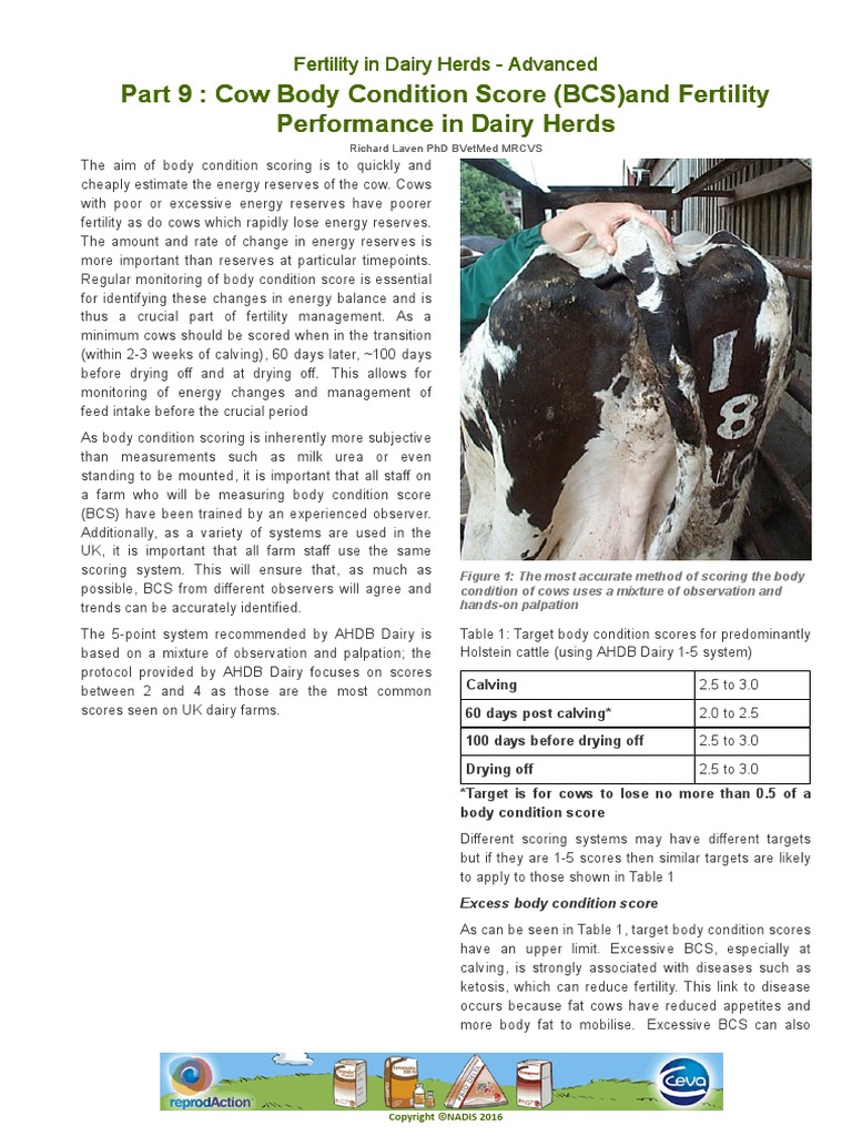 Part 9 Cow Body Condition Score (BCS) and Fertility Performance in