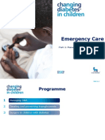 3a Emergency Care DKA (UK) FINAL