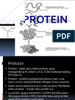  Analisis Protein