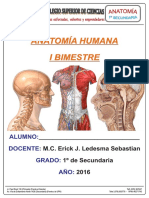 Material PCSC - Anatomía 1 Sec Primer Bimestre