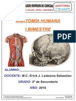 Material PCSC - Anatomía 2 Sec Primer Bimestre