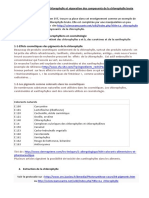 Chlorophylle Brute PDF