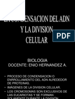 La Formacion Del Cromosoma y Division Celular