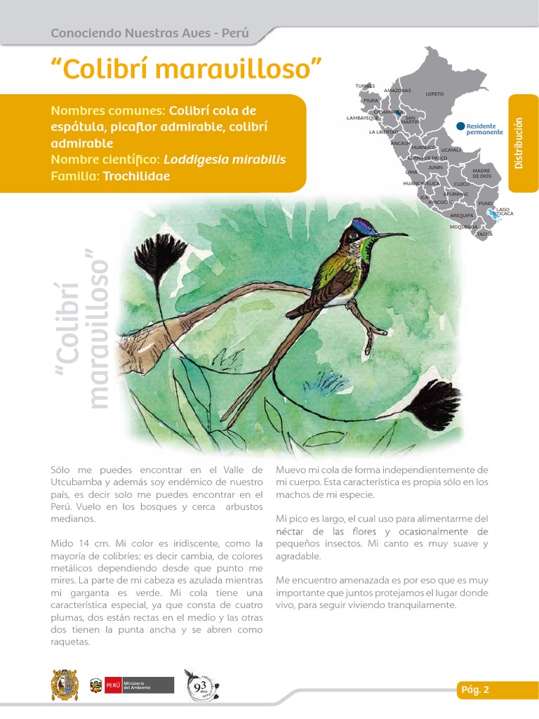 infograf-a-del-colibr-maravilloso-pdf-per-paravianos