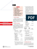 CTS-REGIMEN ESPECIAL.pdf