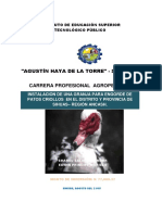 Proyecto Productivo Pato 2015.docx