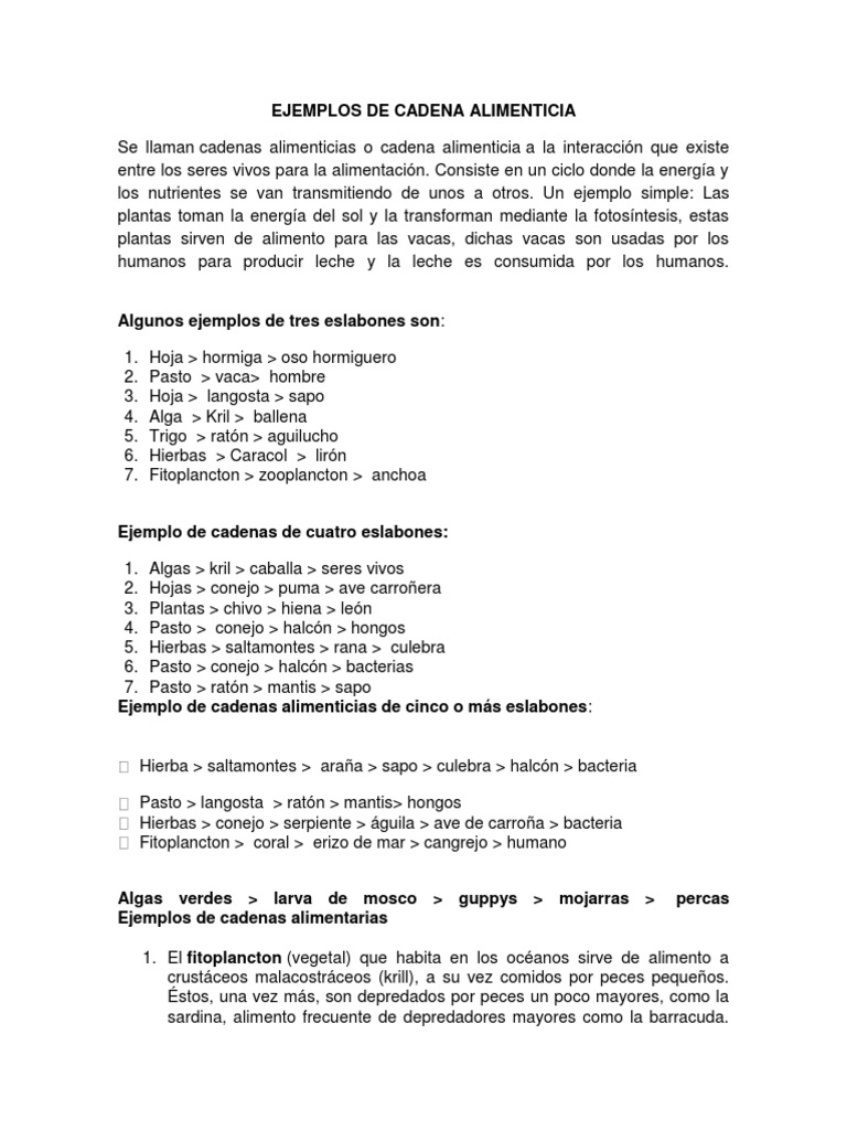 Ejemplos de Cadena Alimentica | PDF | Aves | Algas