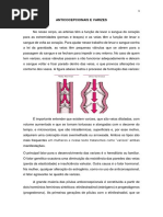 Anticocepcionais e Varizes