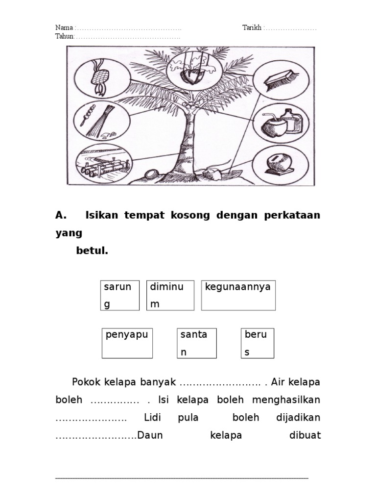 Pokok Kelapa Sawit Kegunaan